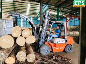 Cân nhắc khi mua xe nâng kẹp gỗ
